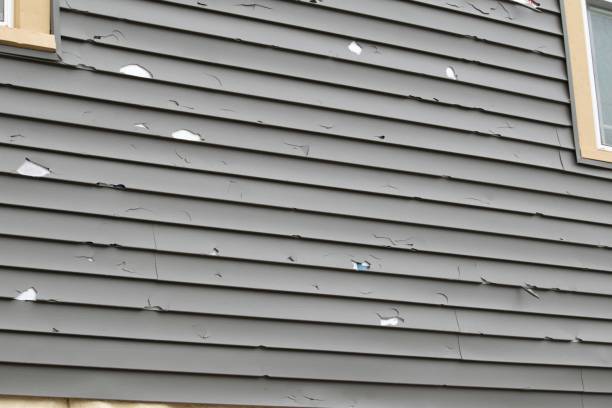 Best Fascia and Soffit Installation  in Moore, OK